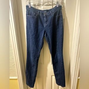 LOFT Outlet Dark Blue Modern Skinny Jeans